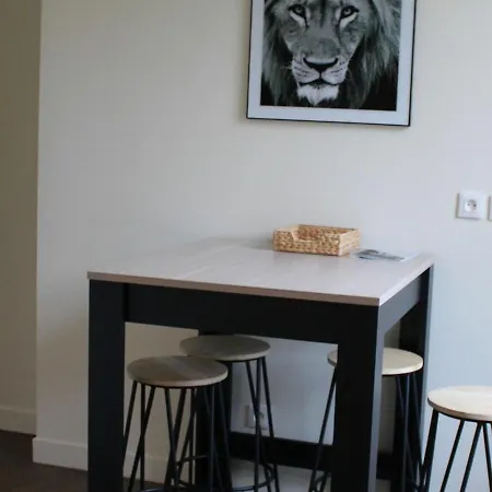 Apartment Central A : 2 Ch, Cuisine Equipee, Proche Commerces Et Activites - Fr-1-584-105